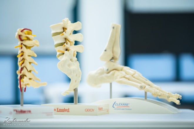 Medizin und Praxisfotos, Skelettmodell