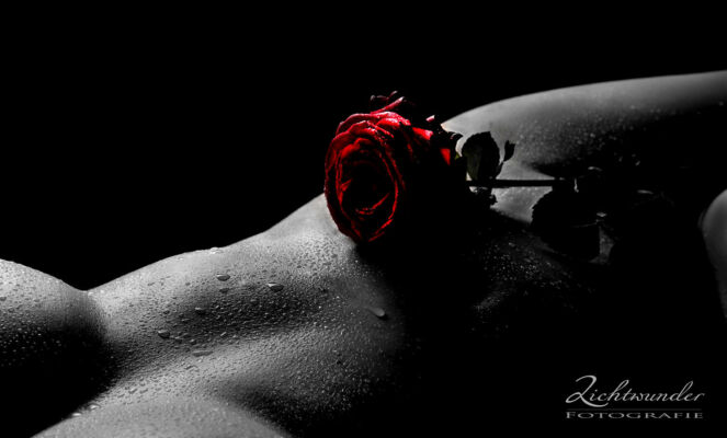 Aktfoto, Rose auf dem Bauch, Color Key