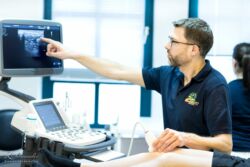 Arztfoto Praxisfoto, Arzt während Behandlung