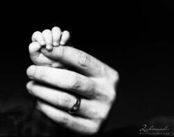 Baby- Familienfotos Baby Hand hält Finger vom Vater